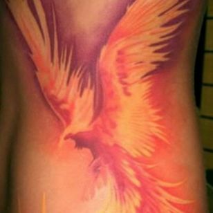 #Phoenix #animals #birds #color #beautiful #bright