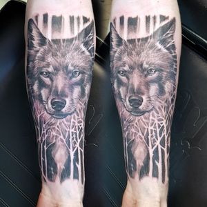 Realistic wolf part of sleeve. First session 3,5 hours.