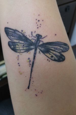 Dragonfly on my forearm