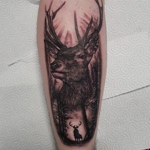 Deer within the woods. #deertattoo #blackandgreytattoo #blackwork #stag #deer #tattoo #realism #woods