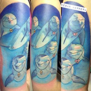 #tattoo#fullcolor#fullcolortattoo#dolphin#dolphintattoo#fuckrotary#fucktattoostars#sonmelo#eternalink#cesarherrera#huntertattooshopbogota