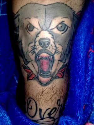Joelho tattoo wolf
