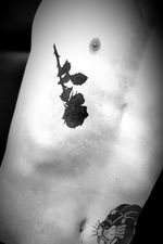 Blackout rose tattoo