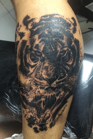 Tiger #tattoo #blackandgrey #allanmanditattoostudio #gooddaddytattoosupplies