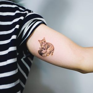 Tattoo by Nando #Nando #cattattoo #cattattoos #cat #kitty #animal #petportrait #nature #realism #realistic #hyperrealism #cuddle #kitties #cute