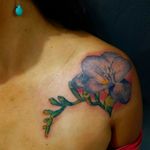 Gracias por la confianza #traditionaltattoo #ink #tattoos #inked #art #tattooartist #instagood #tattooart #artist #photooftheday #inkedup #tattoolife #girly #style #bodyart #like4like #fullcollor #cdmx #inkadict #inked #girltattoo #girlsday #tatt #instapic #nice #loveink #girl #love #flores #flowers @artymana.tattoo @worldfamousink