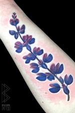 Custom Lupine tattoo. Would love to do more like this! Email me at burke.brigid@gmail.com #floral #floraltattoo #color #flower #forearmtattoo #ink #tattoo #lupine #customtattoo 