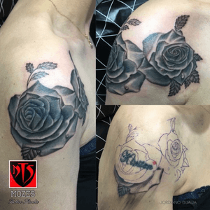 Cover up Roses