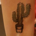 #cactustattoos #cactus #tattooart #blackline #