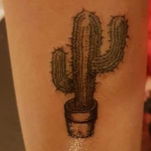 #cactustattoos #cactus #tattooart #blackline #