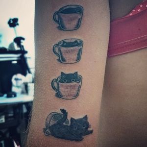 Gato + café 
