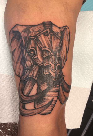 Warrior elephant done by my guy Dylan Smith