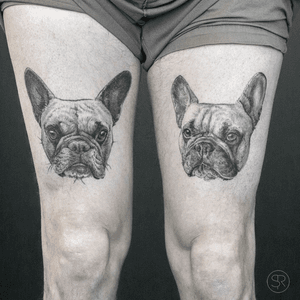#frenchies #are #awesome. Healed dogportraits for Ory ✌🏼 Done at @studio_palermo #antwerp #inked #tattoo #tttism #tattrix #blackworkersubmissions #blxckink #blacktattooart #darkartists #blacktattoo #tattoodo #equilattera #btattooing #inkedmagazine #inkselection #fineline #tattooistartmag #singleneedle