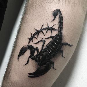 Tattoo by Slumdog #Slumdog #barbedwire #blackandgrey #oldschool #metal #wire #scorpion #animal #brutal #darkart