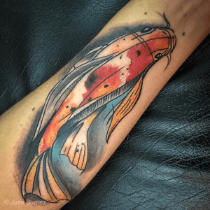 Pez Koi / Koi Fish - #tattoo #ilustracion #color
