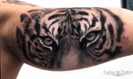 Tiger realistic. #tiger #carlos_art #tenerife #tigre #realistic #cheyennetattooequipment #tattooartist #tattooart #cool #Tattoodo #miamiink #ink #inked #picoftheday 