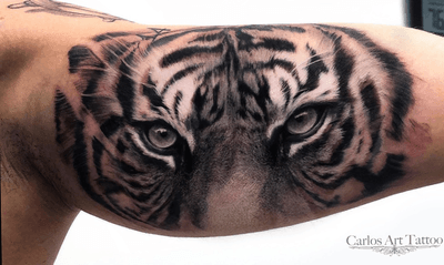 Tiger realistic. #tiger #carlos_art #tenerife #tigre #realistic #cheyennetattooequipment #tattooartist #tattooart #cool #Tattoodo #miamiink #ink #inked #picoftheday 