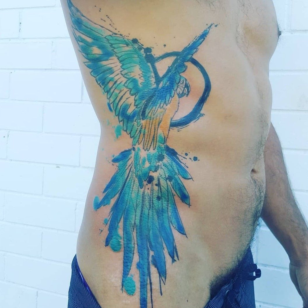 macaw' in • Search +1.3M Tattoos • Tattoodo