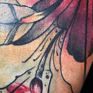 Détail shot! No edits.Suuuuuuper sorry for the lack of posts. I start out strong on my trips to France and then the vacation takes hold and.... it’s sweaty, lazy, beachy, and sometimes someone steals your phone... 👌 #summer#summer2018 #bestsummerever #tattoodetail #detailtattoo #colortattoos #colortattoo#freehand #freehandtattoo #yoricktattoo #austin #houston #dallas #sanantonio #texas #artnouveau #newschool #neotraditional #tattoooftheday
