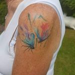 Healed watercolour dragonflies 