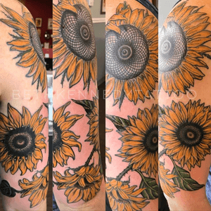 Sunflowers by Beth Kennedy