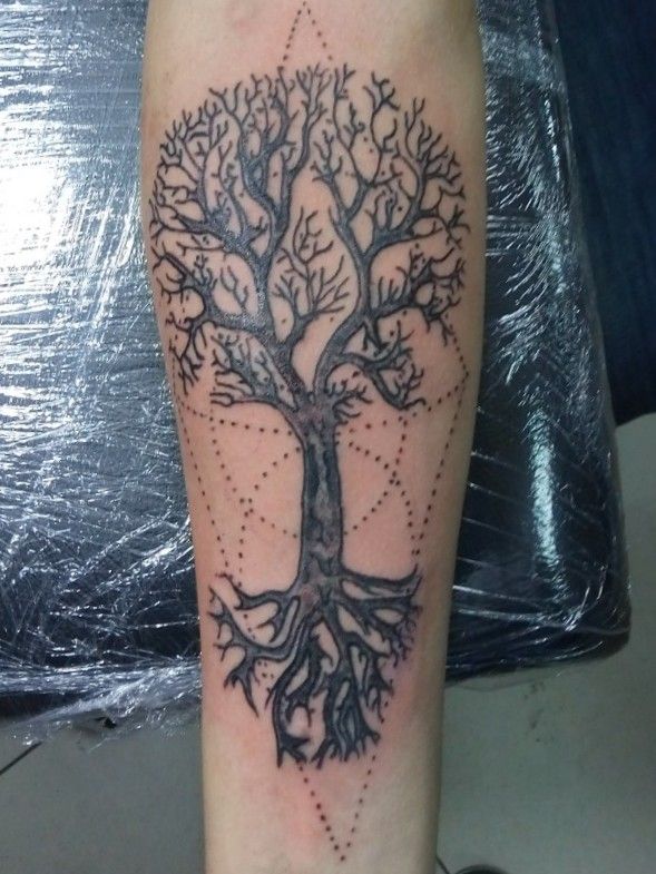 Pecan Tree Tattoo