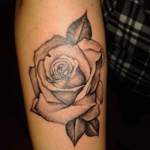 Black md grey rose