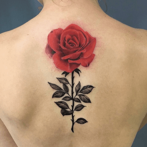 Tattoo artist - Romulo Matsumi                                                  Instagram: @matsumiromulo #rose #rosa #tattooart #tattooartist #tattoodo #tattoobrasil #tatuadoresbrasileiros #brasil 