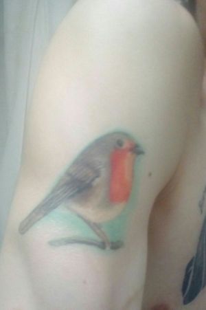 My very first tattoo when I was 21 and 1 month. Dedicated to my Nan for the robin who was always in her garden. Miss you Nan, love you lots xxxxxx