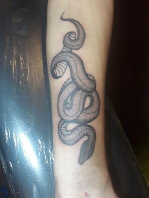 Diseño visto del cliente (snake)