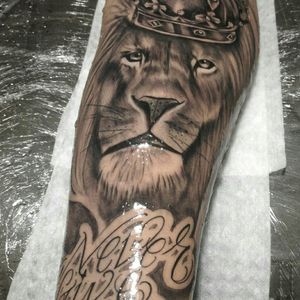 Lion Black and gray tattoo