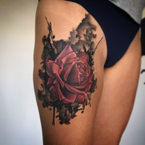 Rose tattoo 