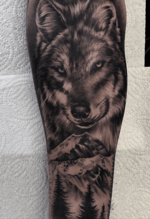 Finished this one off today! #tattoo #wolf #wolftattoo #mountain #mountaintattoo #tattoodesign #tattooideas #forearmtattoo #sleeve #ink #tattoooftheday