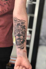 Black and gray lion