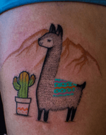 Llama and cactus 