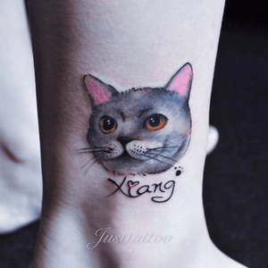 Tattoo by Momo tattooist. Guangzhou Tattoo - #Justtattoo #GuangzhouTattoo #OriginalTattoo #TattooManuscript #TattooDesign #TattooFemaleTattooist #cat #cattattoo #realism #commemorativettattoo #beautyshort