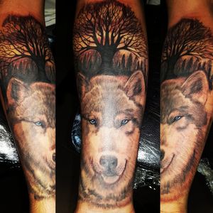 Wolf with tree of life forearm tattoo #tattoodesign #tattoos #tattoomafia #alexdavidsontattoos #design #instagood #instashare #instart #instaink #fkirons #xion #fkironsxion #tattoopen #tattoo #tat #tattooshop #art #shading #eliteneedles #eternalink #dynamicink #wolf #wolftattoo #treeoflife #treeoflifetattoo