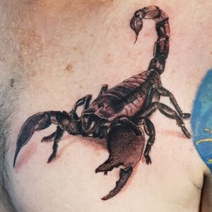 Scorpion from today #tattoodesign #tattoos #tattoomafia #alexdavidsontattoos #design #instagood #instashare #instart #instaink #fkirons #xion #fkironsxion #tattoopen #tattoo #tat #tattooshop #art #shading #eliteneedles #eternalink #dynamicink #tattooideas #tatlife #realismtattoo #scorpiontattoo #scorpion #chesttattoo