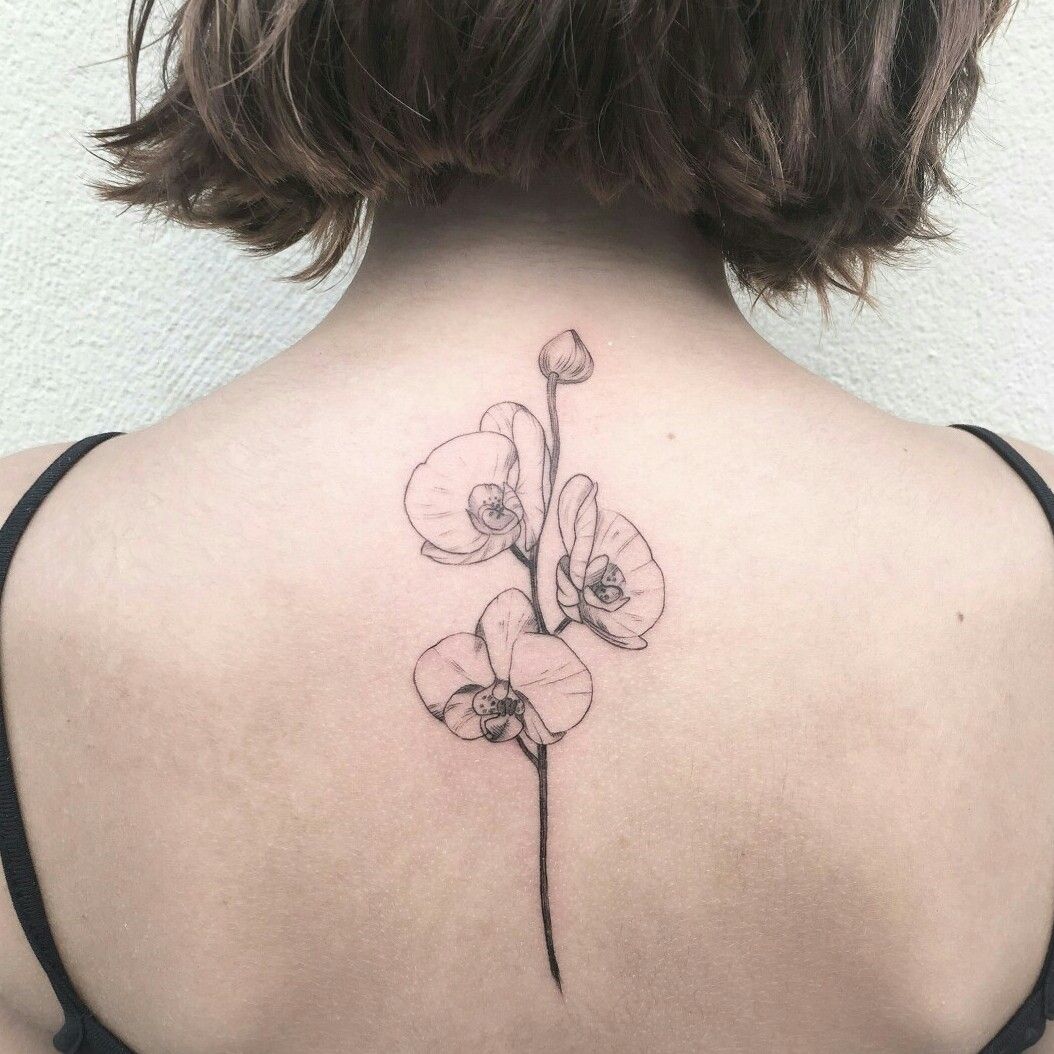 orchid tattoo by krinakii on DeviantArt