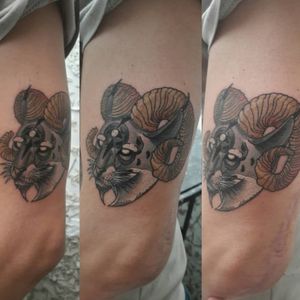 Lince Demon, tattoo realizado para mi parcero Anthony, una persona testigo de mi avance, vamos por mas! #lince #demon #neotraditional #neotradi #tattoo #eyes #horn #bogota #bogotatattoo #colombia #colombiatattoo #DromArtist. . -DromArtist-
