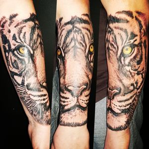 Tiger tattoo by Alex #tattoodesign #tattoos #tattoomafia #alexdavidsontattoos #design #instagood #instashare #instart #instaink #tattooidea #dragonflytattoo #sabrerotarymachine #eikon #hustlebutter #blackandgrey #tigers #tiger #tigertattoo #forearmtattoo #tigereyes 