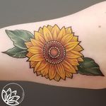 Bright bold sunflower 