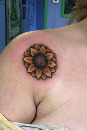 Cute little sunflower