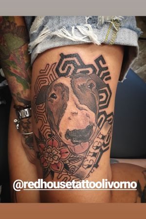 Alessandra Gaibotti Whatsapp 3477804765#dogportrait  #tattooart #neotraditionaltattoo #portraittattoo #arm #colortattoo 