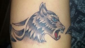 #wolf #dacianflag #dacicwolf #origins 