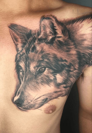 .狼感謝🙏🏻#tattoo #wolf #realism #realismtattoos #blackwork #blackandwhite #ink #寫實 #寫實刺青 #狼 