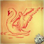 #follow New Sketch Not Available! #draw #drawing #tattoo #tattoos #ink #sketch #sketchbook #logo #picoftheday #swan #wing #water #animal #neotraditional #neotrad #red #white 
