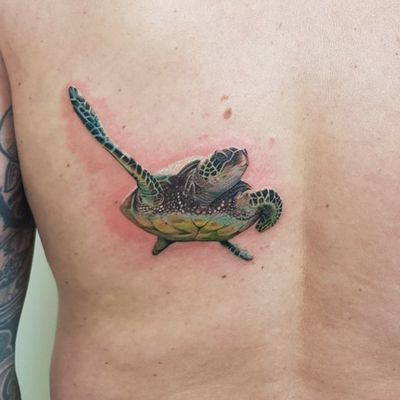 Turtle done, full underwater backpiece in progress. So much more to come.#tat #tats #tattoo #tattoos #ink #inked #inkedlife #freshlyinked #fullcolor #turtle #underwater #sealife #nature #tattoooftheday #inkedlife 