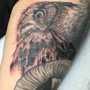 Owl done by Jared Preslar 