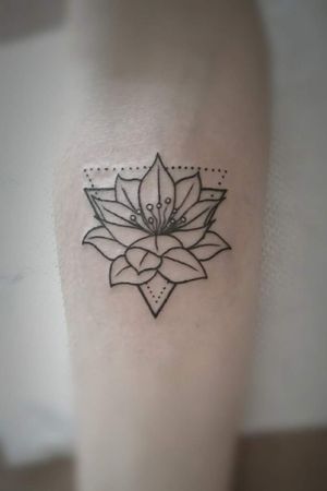 Flor de loto. Triángulo